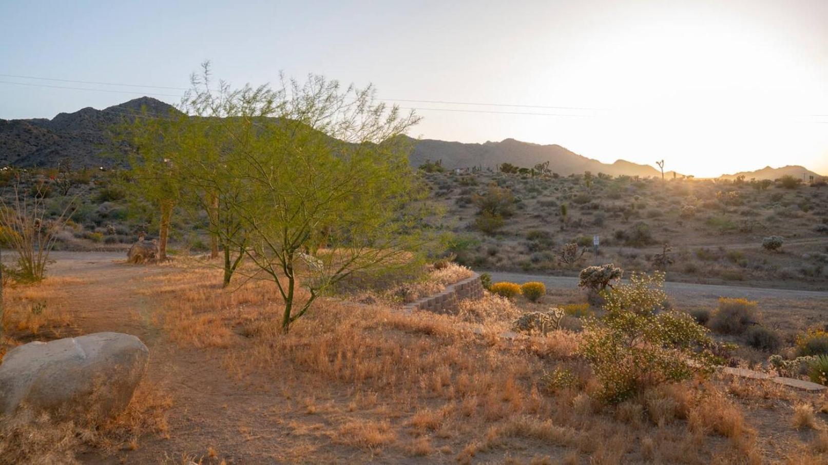 Experience Desert Serenity Gateway To Joshua Tree Luaran gambar